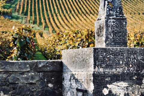 Côte de Nuits: 2h30 excursion among the vines