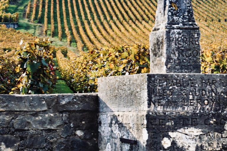Côte de Nuits: 2h30 excursion among the vines