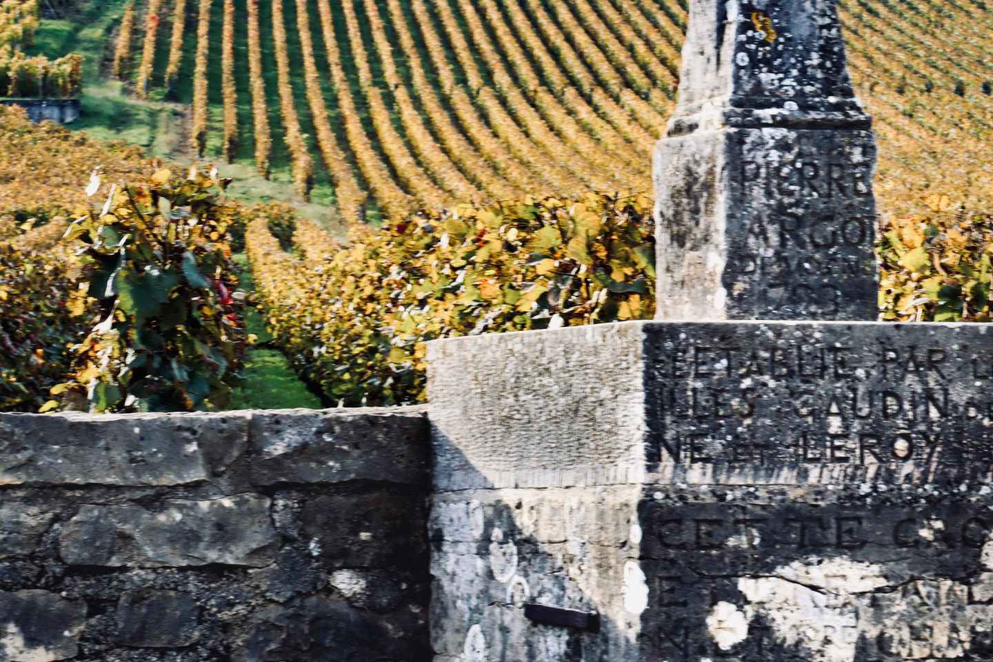 Côte de Nuits: Excursion in the heart of the vineyards