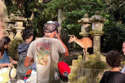 Nara: tour guidato a piedi con il Grande Buddha e i cervi(5h)