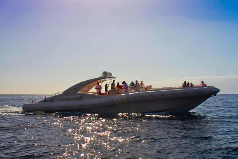 Tenerife: Opera 60 Whale & Dolphin Cruise with Lunch