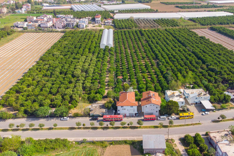 Side: Full-Day Mix Tour to Green Canyon with Boat & Lunch