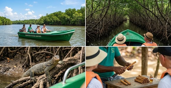 Sri Lanka Bentota; Mangrove River Boat Safari