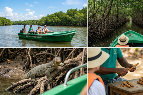 Sri Lanka Bentota ; Mangrove River boat Safari
