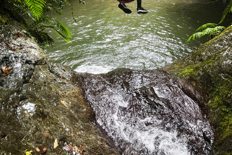 Christchurch: Tui Canyon Half-Day Canyoning Adventure
