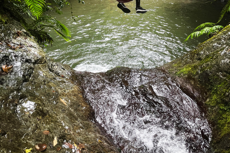 Christchurch: Tui Canyon Half-Day Canyoning Adventure