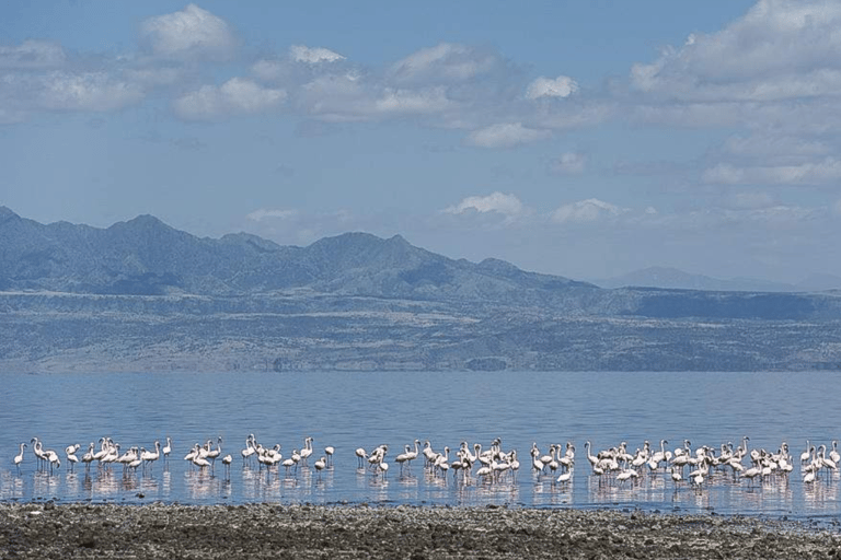 Arusha: Lake Natron 3-Day Tour with Maasai Village Visit