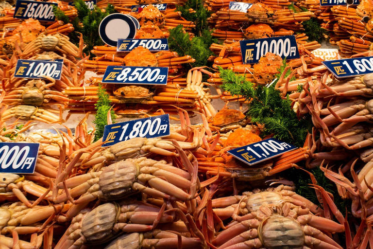 Kanazawa: City Highlights & Hidden Gems Private Walking Tour 3 hour - Kanazawa walking experience