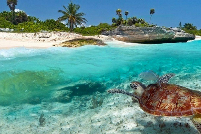 Zanzibar : visite du banc de sable de Nakupenda et de l&#039;île-prison et déjeuner