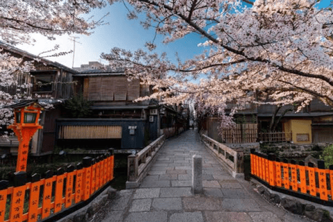 Von Osaka aus: Kyoto Ganztagestour Private Tour nach MaßToyota Alphard 0-5