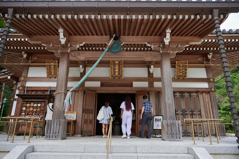 Osaka: Wandeltocht met gids naar Minoo waterval - 2,5uOsaka: 2,5 uur wandelen in Minoh