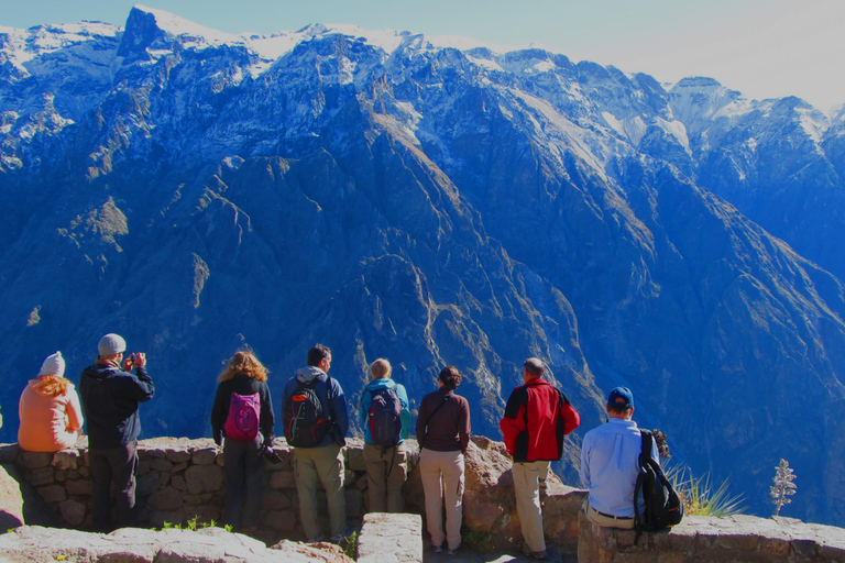 Full Day Trip to Colca Canyon from Arequipa