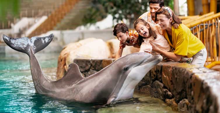 Abu Dhabi:SeaWorld Entry Ticket & Optional Experiences photo 4
