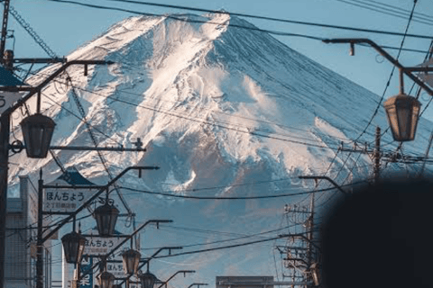 From Tokyo: Mount Fuji Full Day Customizable Private Tour