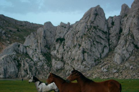 Ringberg Castle: Royalty Horseback Riding Experience
