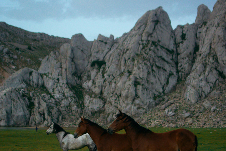 Ringberg Castle: Royalty Horseback Riding Experience