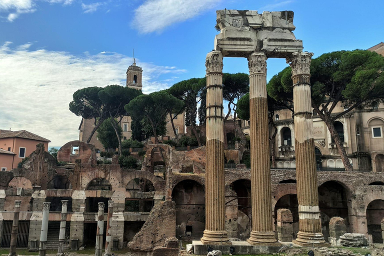 Roma: Visita a la Arena del Coliseo, el Foro Romano y el Palatino