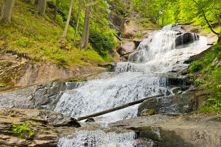 Watervallen Tour vanuit Sarajevo: Wandeling en Bosnische Lunch