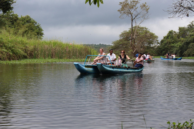 Sigiriya Village Tour with Bullock Cart Ride Sigiriya: Village Tour with Bullock Cart Ride