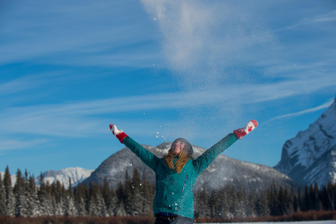 Von Banff aus: Lake Louise Halbtagestour im Winter