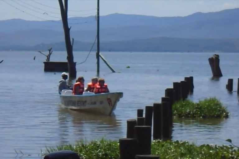 De Nairóbi: Excursão de 1 dia ao Parque Nacional do Lago Nakuru