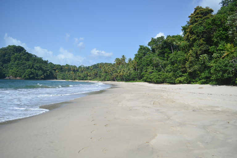 Trinidad: Excursión a la Cascada de Paria