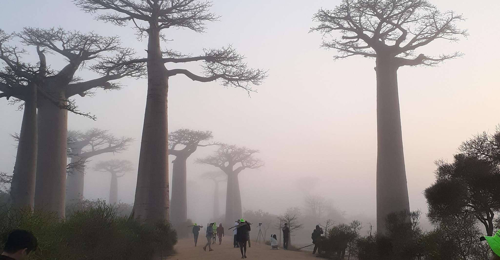 The west beauty of Madagascar, Tsingy and Baobab trees - Housity