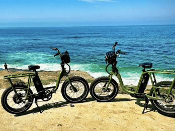 Aluguel de eBike Performance por meio dia