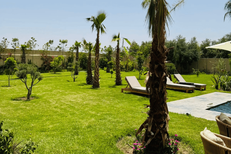 From Marrakesh: Pool Day Pass in Atlas Mountains with Lunch Refreshing Pool Escape: Enjoy Lunch and Easy Pickup