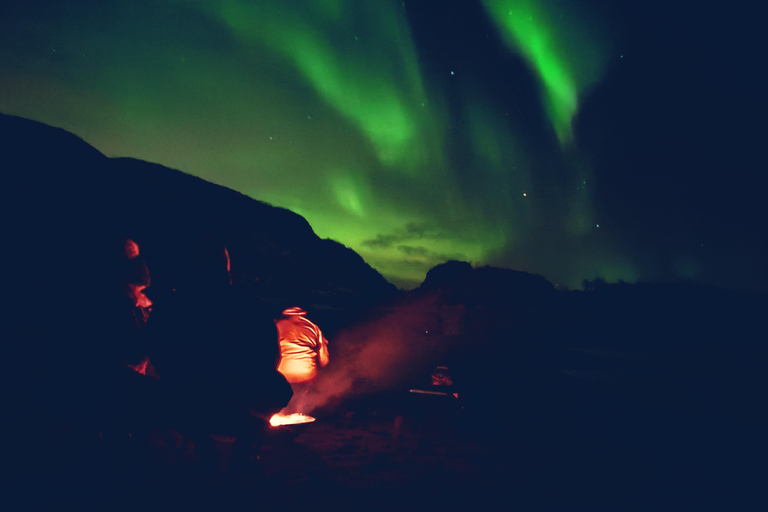 Tromsø: Northern Lights Tour with bonfire, sausages & snacks Tromsø: Northern Lights Guided Tour with Bonfire and Snacks