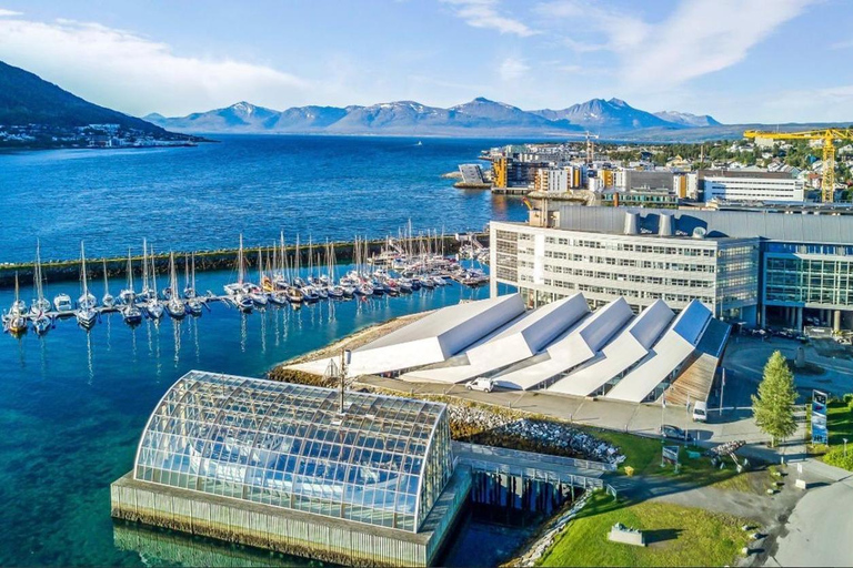 Tromsø: Dagtocht langs de fjorden, bergen en hoogtepunten van de stad