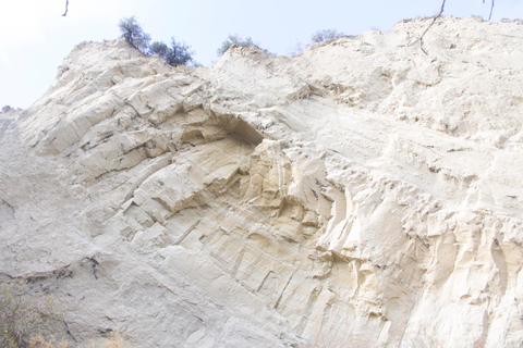 Excursión emocionante de un día a la Reserva Natural de Vashlovani