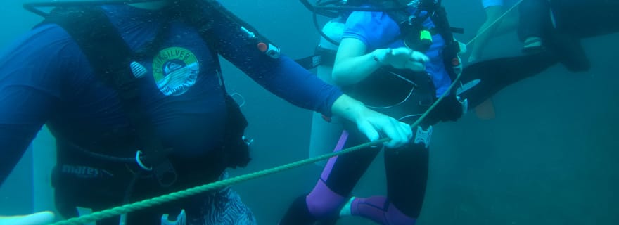 Mirissa : expérience de plongée sous-marine et rafraîchissements pour débutants