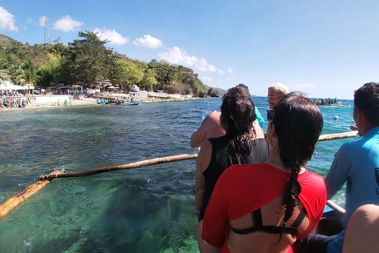From Cebu City: Scuba Diving Adventure with Whale Sharks