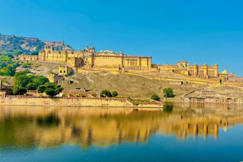 Jaipur: Private Full Or Half-Day City Tour by Car Private Jaipur Half-Day City Tour with Only Guide Service