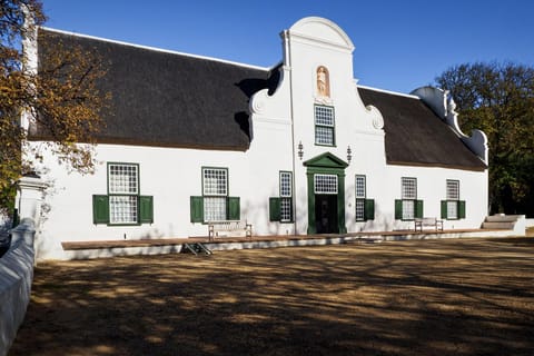Cape Town: Coastal Drive & 3 Award- winning Wine Tastings⭐