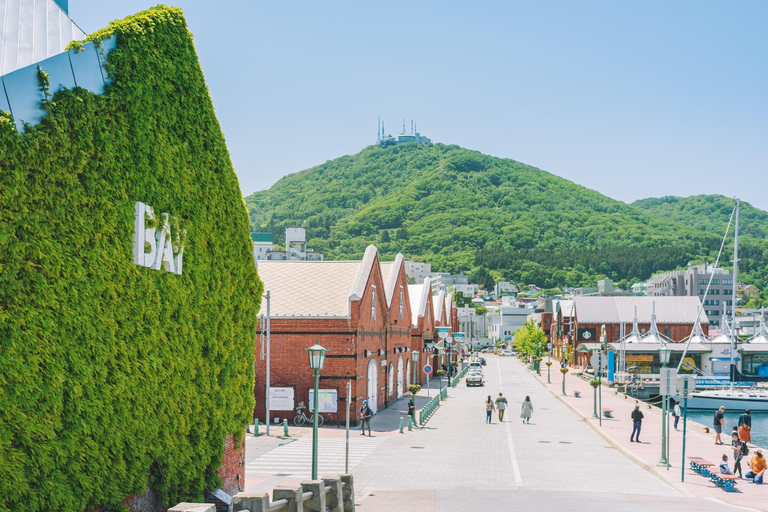 Hokkaido Hakodate 2D1N Tour en autobús por los Cerezos en Flor desde Sapporo2 Personas/1 Habitación