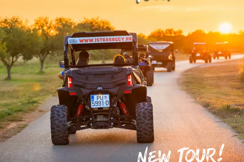 Fažana/Pula: Buggy Sunset & Olive Oil Tasting Tour