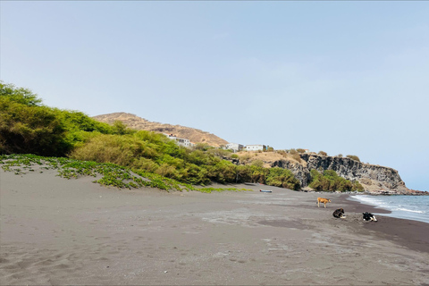 Poznaj największą plantację bananów na Cabo Verde