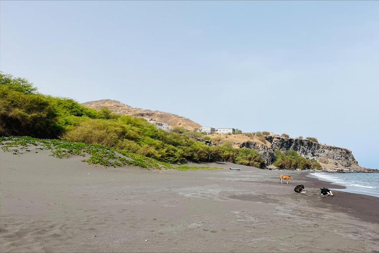 Poznaj największą plantację bananów na Cabo Verde