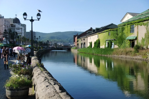 From Sapporo: Shakotan, Yoichi, & Otaru Private Day Trip