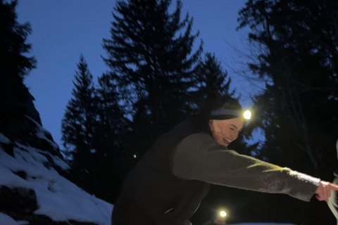 Interlaken: Sunset Sledding Adventure & Swiss Cheese Fondue Interlaken: Sunset Sledding & Fondue Dinner in Mürren