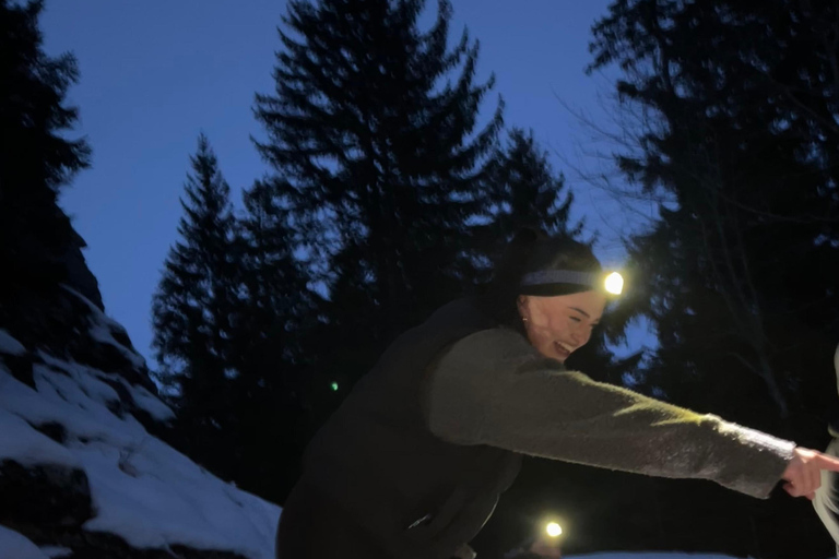 Interlaken: Sunset Sledding Adventure & Swiss Cheese Fondue Interlaken: Sunset Sledding & Fondue Dinner in Mürren
