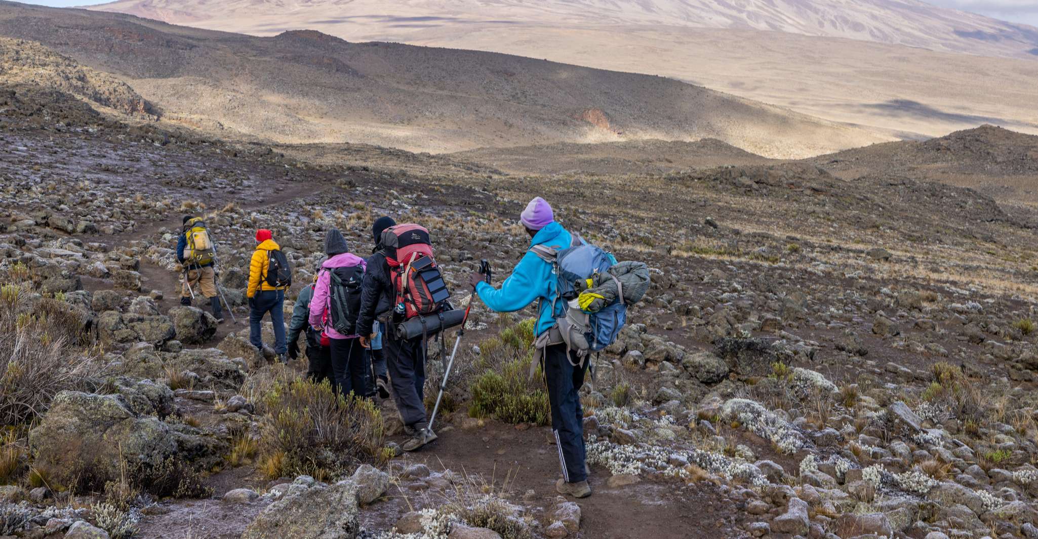 Kilimanjaro Rongai Route, Summit trekking include Hotel - Housity