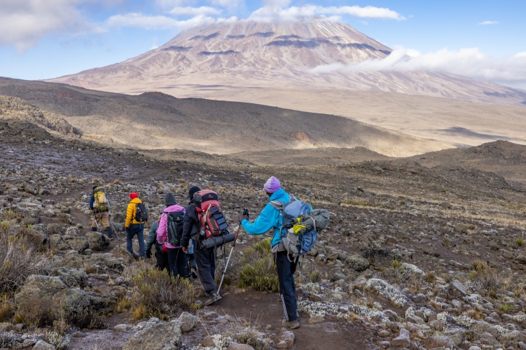 Trasa Kilimandżaro Rongai: Trekking na szczyt obejmuje hotelKilimandżaro Rongai Route: Trekking na szczyt w 9 dni