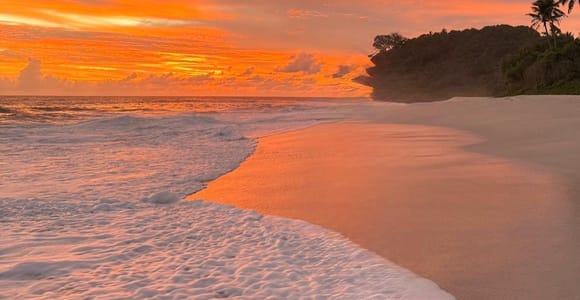 Mahé: Guided Tour with Local flavors & Heritage gems.