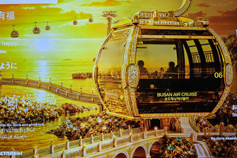 Busan: Private Tour, 3 Included Experiences & 3 Iconic Spots Private Tour | 1–3 Guests