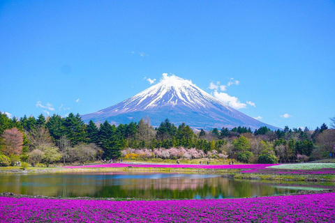 From Tokyo&Yokohama:M.Fuji day trip with Eng speaking driver