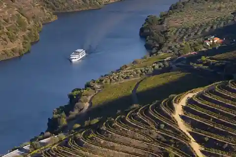 Do Porto: passeio panorâmico de barco no Vale do Pinhão e Douro
