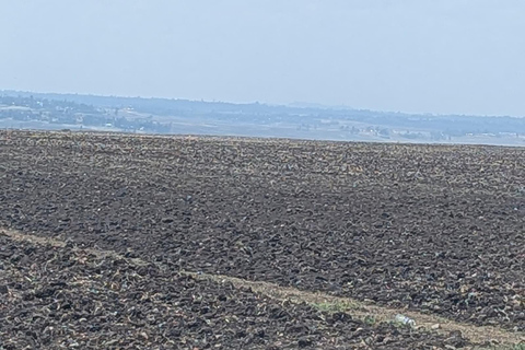 Blue Nile Gorge Wildlife & Cultural Day Trip